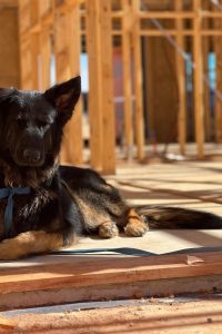 sa-roof-covers-canine-help